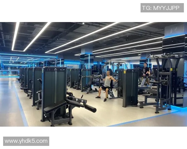 迈宝赫健身器材的性能评测与用户体验分析全面解读