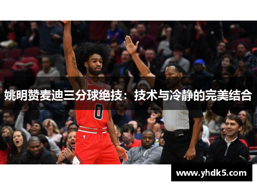 姚明赞麦迪三分球绝技：技术与冷静的完美结合