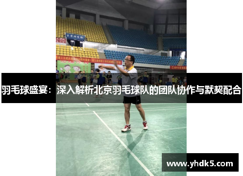 羽毛球盛宴：深入解析北京羽毛球队的团队协作与默契配合